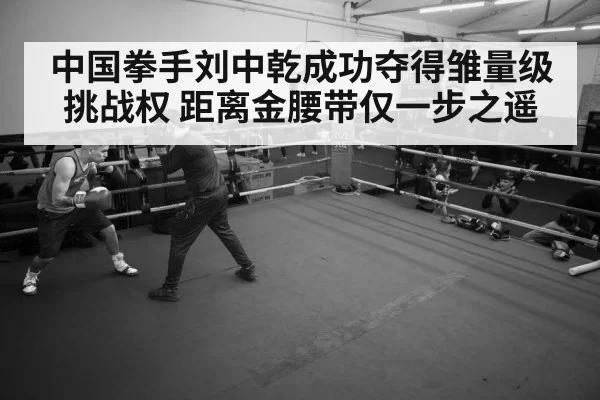 boxer training gym