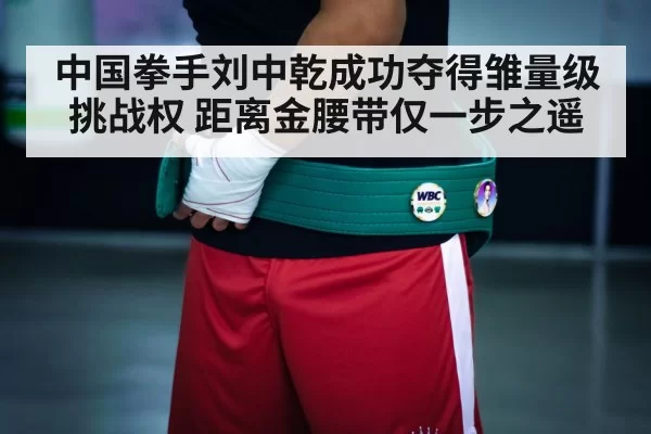 boxing championship belt